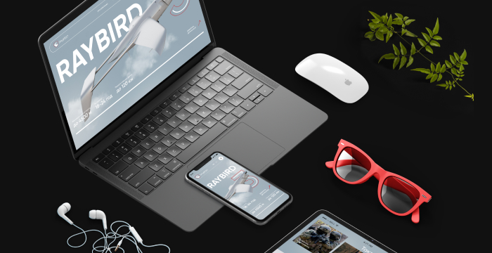 Индивидуальная разработка или шаблонный проект