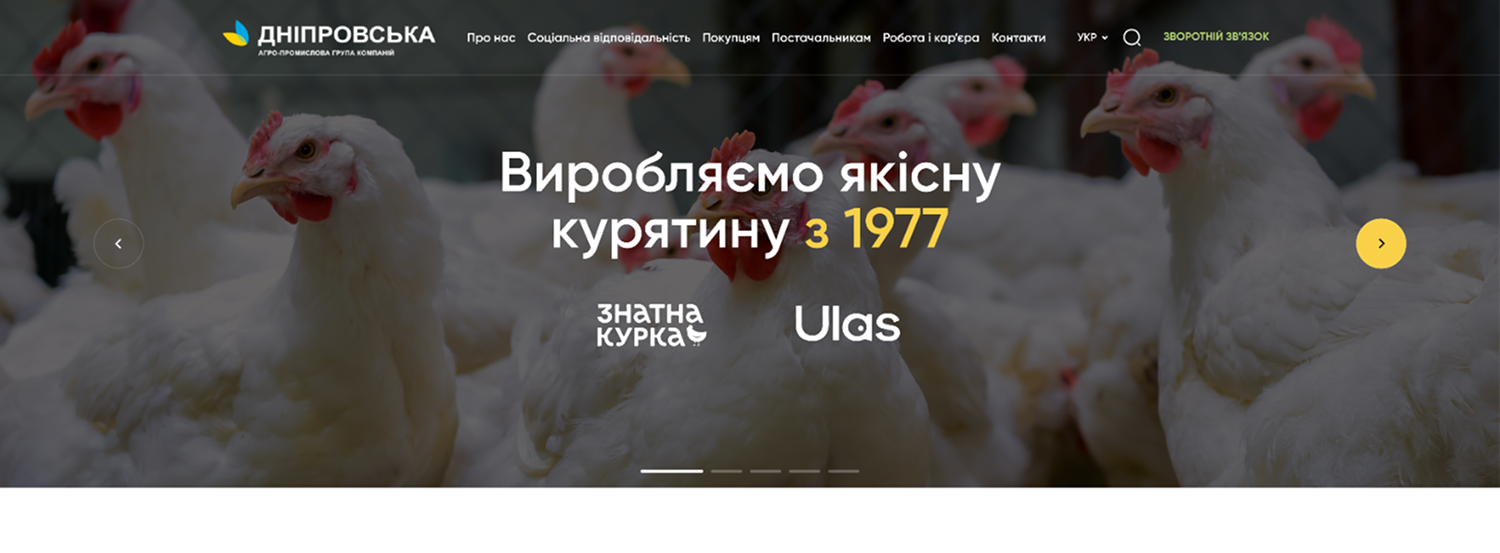 Дніпровська